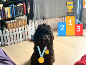 A dog wearing a medal next to a podium